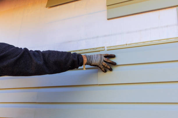 Trusted Blackshear, GA Siding Experts